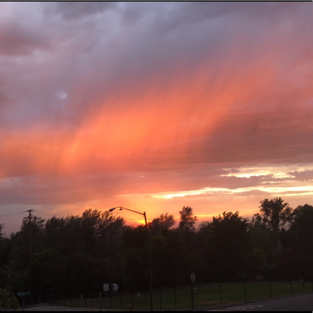 Meet your Posher, Izzy